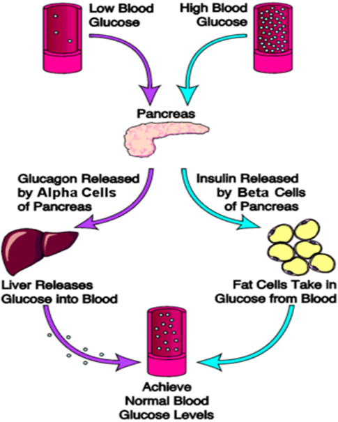 blood-sugar